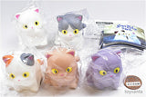 Powa potcha kitten [All 5 type set(Full Complete)]