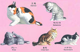 Gray meron Kaikai cat [All 5 type set(Full Complete)]