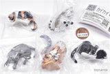 Gray meron Kaikai cat [All 5 type set(Full Complete)]