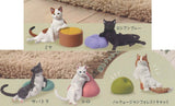 My Position [All 5 type set(Full Complete)]