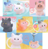 Koron to Baby Nyanko Babutto Mejirushi Mascot [All 8 type set(Full Complete)]