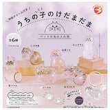 Uchinokono kedamadama with Special charm [All 6 type set(Full Complete)]