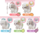 Opantsu Shih Tzu Flocky Mascot [All 5 type set(Full Complete)]