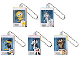 LOONEY TUNES Miniature Package Charm [All 5 type set (Full Complete)]
