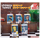 LOONEY TUNES Miniature Package Charm [All 5 type set (Full Complete)]