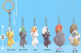 Neko tsuremashita. [All 6 type set(Full Complete)]