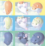 Kokodakenohanashi, takaitokoronigatenandayone Part.2 [All 9 type set(Full Complete)]