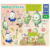 Tsunagaring Charm Yasainoyousei [All 4 type set(Full Complete)]