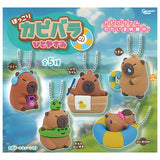 Hokkori Capybara no Hitoyasumi [All 5 type set(Full Complete)]