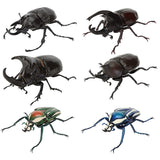 Beetle Gashapon 11 [All 6 type set(Full Complete)]