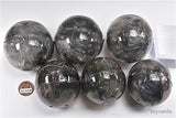 Beetle Gashapon 11 [All 6 type set(Full Complete)]