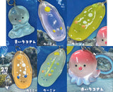 Kokodayo Mascot Umi no Yawaraka-san [All 6 type set (Full Complete)]