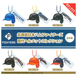 Hokkaido Nippon-Ham Fighters All-Time Helmet Collection [All 6 type set(Full Complete)]