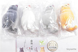 KYOMU. Cat Matoi [All 4 type set(Full Complete)]