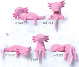 Fuchiyasumi Axolotl [All 5 type set(Full Complete)]