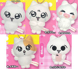 Mainichi Meechan Plush Mascot [All 5 type set(Full Complete)]