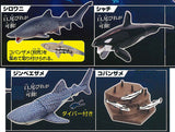 The Shark vs The Ultimate Predator [All 4 type set(Full Complete)]