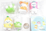 Life with a Polar Bear Part.3 Fruit Bear Flocky Collection [All 5 type set (Full Complete)]