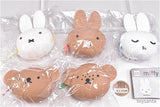 Miffy FACE Silicone Accessory Case Part.2 [All 5 type set(Full Complete)]