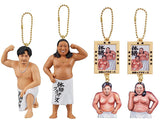 Taikaku Brothers Big Body Collection [All 4 type set(Full Complete)]