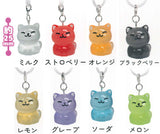 Candy Clear Cats churunto Mejirushi Clear Charm [All 8 type set(Full Complete)]