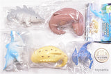 Jurassic Shark II [All 5 type set(Full Complete)]