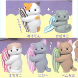 Uchinoko no ichinichi mada nenne shinai no?? [All 5 type set(Full Complete)]
