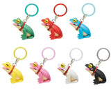 Osanpo Frog Fit [All 7 type set(Full Complete)]