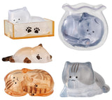 Toketeru! Nekochaaan [All 5 type set(Full Complete)]