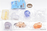 Toketeru! Nekochaaan [All 5 type set(Full Complete)]