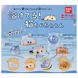 Toketeru! Nekochaaan [All 5 type set(Full Complete)]