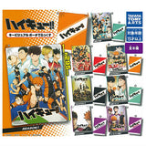 Haikyu!! Key Visual Pouch Deluxe [All 8 type set(Full Complete)]
