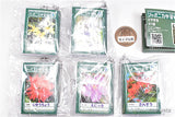 Japonica gakushucho Mame gakushucho [All 5 type set (Full Complete)]