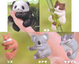 Gyutt! [All 5 type set(Full Complete)]
