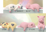 Fuchiyasumi Kobuta [All 5 type set(Full Complete)]