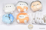 Nagomiyanosekai Kaki-chan no osozaiyasan Petite Plush Keychain [All 5 type set(Full Complete)]