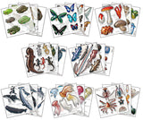 Nature Techni Color MONO Nature Techni Color Pukupuku Drops [All 8 type set(Full Complete)]