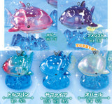Happy whale shark Clear Jewellery Gradation [All 5 type set(Full Complete)]