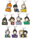 Nitotan Haikyu!! Karasuno Position Rubber Mejirushi Gacha Mascot [All 10 type set(Full Complete)]