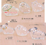 Uchinokono kedamadama Dog's kedamadama Vol.2 [All 6 type set(Full Complete)]