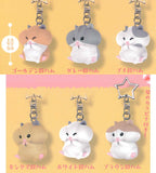 Ringring Greedy Hamster [All 5 type set(Full Complete)]