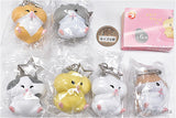 Ringring Greedy Hamster [All 5 type set(Full Complete)]