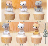 kuufelt Cat Whisker Stand [All 6 type set(Full Complete)]