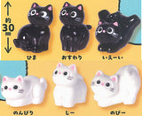 Loki & Bell [All 6 type set(Full Complete)]