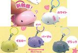 Mejirushi My Charm Axolotl [All 5 type set(Full Complete)]