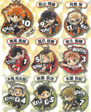 Pita! Deforme Haikyu!! Acrylic Keychain Vol.3 [All 9 type set(Full Complete)]