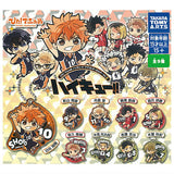 Pita! Deforme Haikyu!! Acrylic Keychain Vol.3 [All 9 type set(Full Complete)]