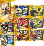Haikyu!! PLAY! Volleyball Pouch Deluxe [All 9 type set(Full Complete)]