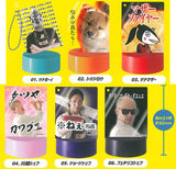 Sound Stage Tunabooy and Yukaina nakamatachi [All 6 type set(Full Complete)]