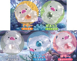 Skeleton Buta ni Shinju [All 5 type set(Full Complete)]